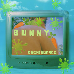 B U N N Y