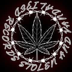 Shadows & Silhouettes