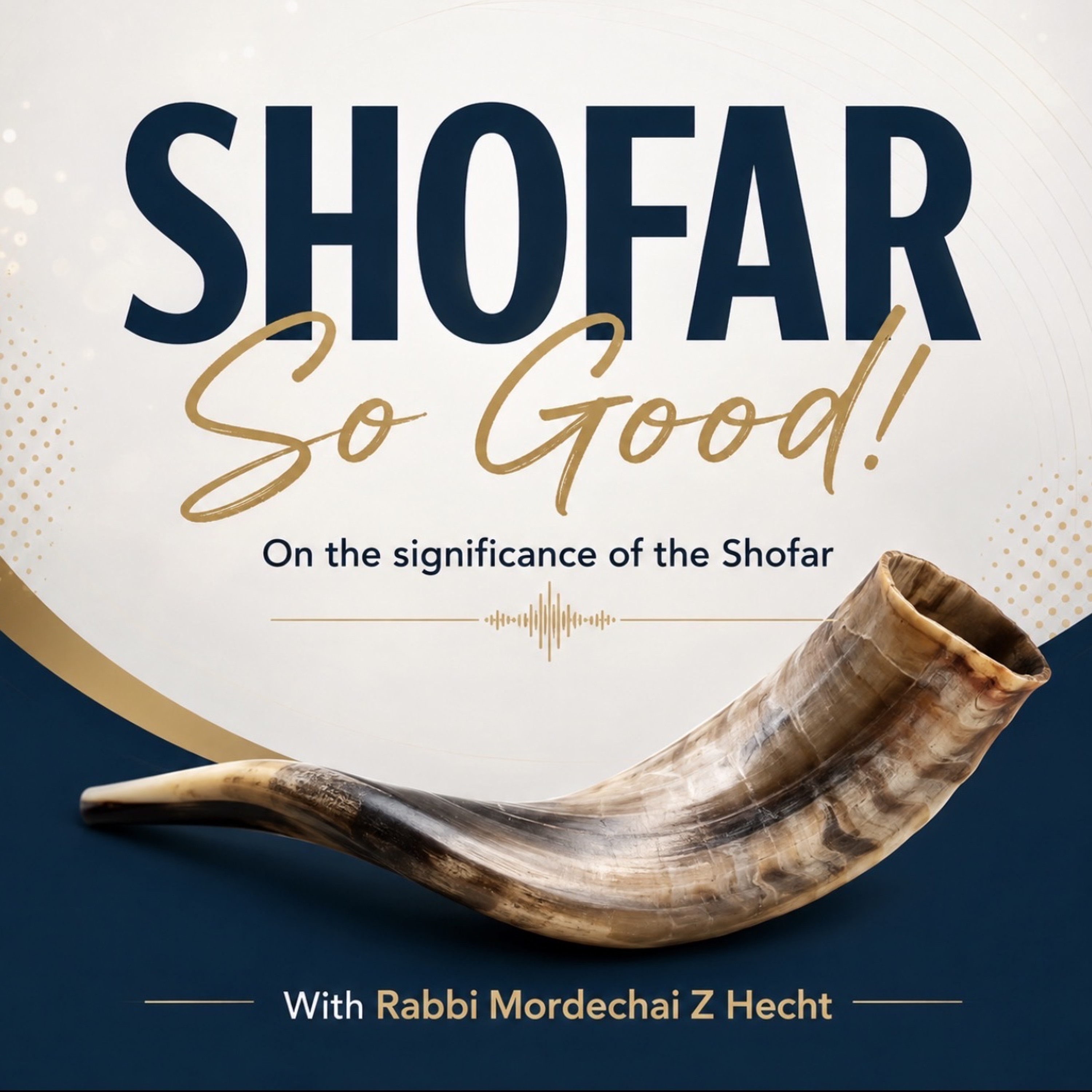 Shofar So Good.m4a episode artwork
