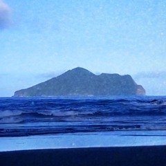 006 Jingjing: Turtle Island