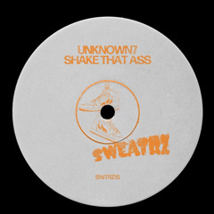 shake that ass- mother earth -hide and seek (unkown7 on beatport)