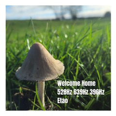Welcome Home 528Hz 639Hz 396Hz