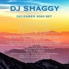 DJ Shaggy December 2020 SET