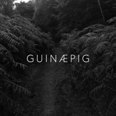 guinæpig TONN RECORDINGS releases