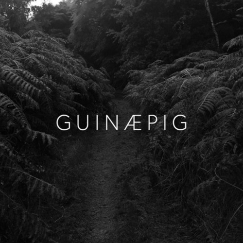 guinæpig TONN RECORDINGS releases