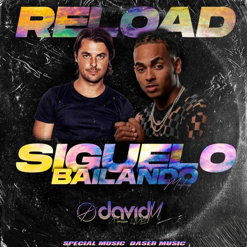 Sebastian Ingrosso X Ozuna - Siguelo Bailando X Reload ( David M Mashup)