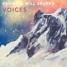 KSHMR x Brooks - Voices (Triggmoff remix)