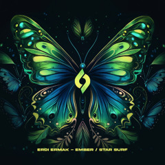 Erdi Irmak - Star Surf [Journey of the Soul]