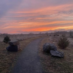 Candego - Brise (Original) 2025-03-22