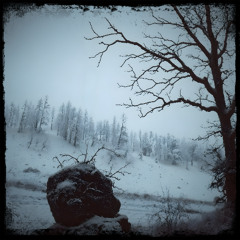 Eternal Winters