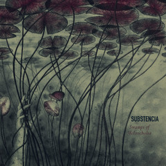 Substencia - Vertigo (Swærm Remix) [Venaeform]