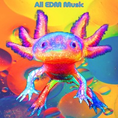 Everything House and EDM PT.10