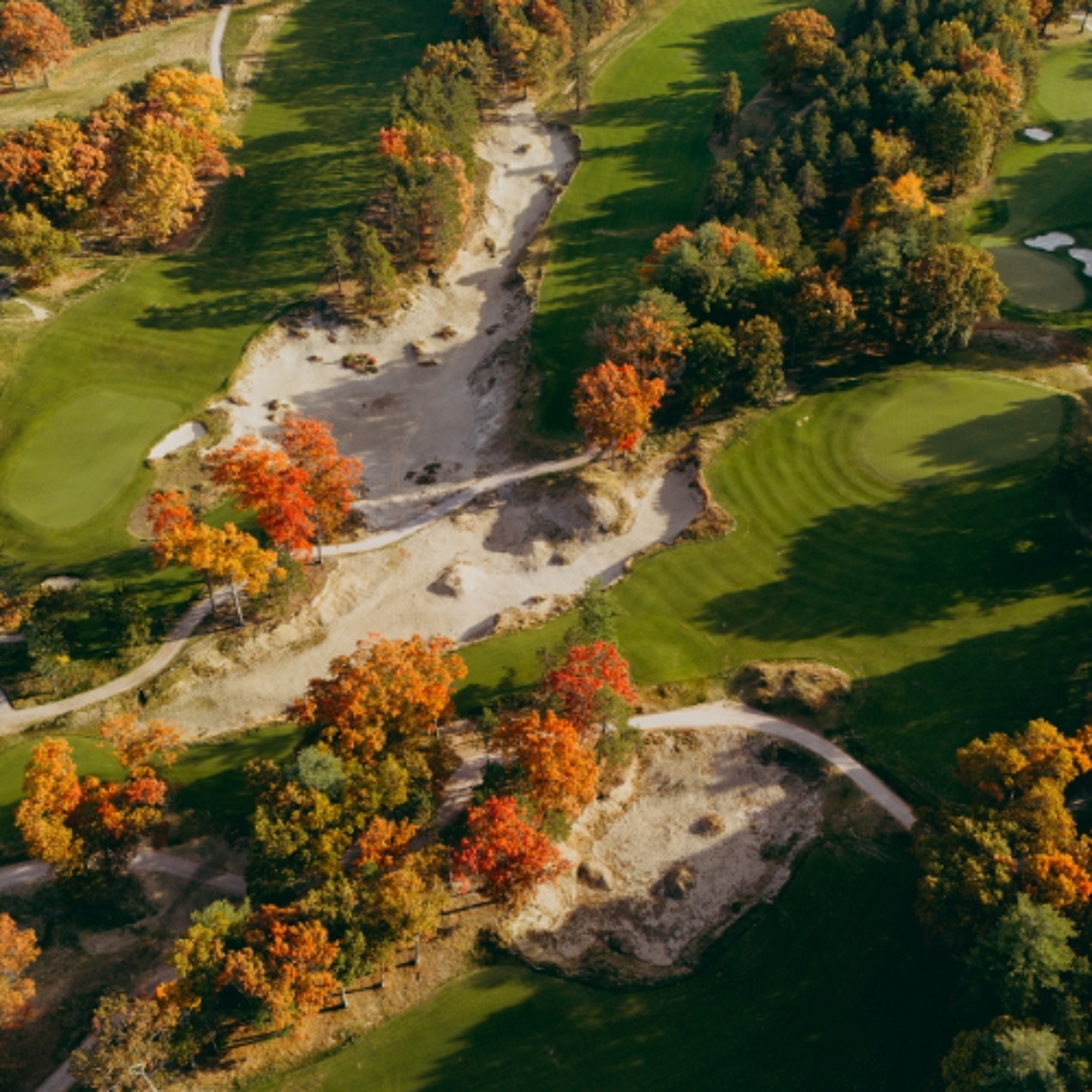June 12, 2025 ~ The International GC opens newly renovated Pines Course to Members! episode artwork