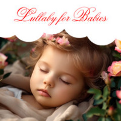 Lullaby for Baby to go to Sleep | Music for Babies | Baby Lullaby Songs go to Sleep Fast