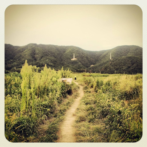 The Path is Overgrown