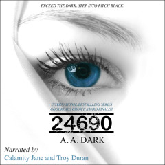 24690 Audiobook Excerpt