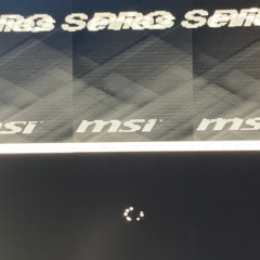 NEVERENDING DESPAIR