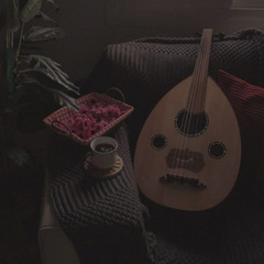 سلطان القزلان| شعوري ذا الليلة غريب