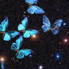 Butterflies (prod. level)