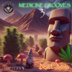 MYSTICAL VISION - CHPT 13 - DESERT RAVEN - MEDICINE GROOVES 3