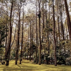 Indah Delvia - Tacilak Di Nan Rami.mp3