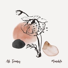 Ali Termos - Mandola [trndmsk]