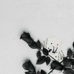 Morethan, LG4 Trey, Cormac Butler - Valentine