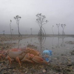 09/09/2022 (extended)