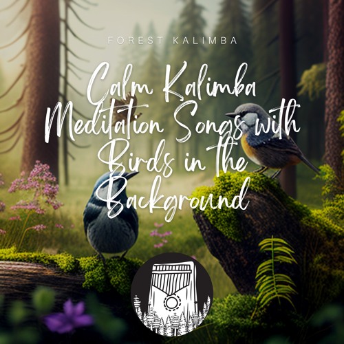 Stream Aurora with Nature by Forest Kalimba Listen online for