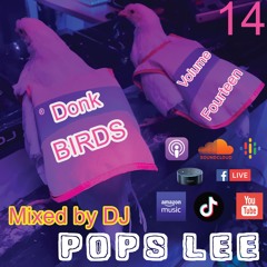 DONKBIRDS 14. Mixed By DJ POPS Lee