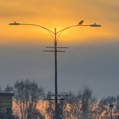 winters coming prod. kingvisual