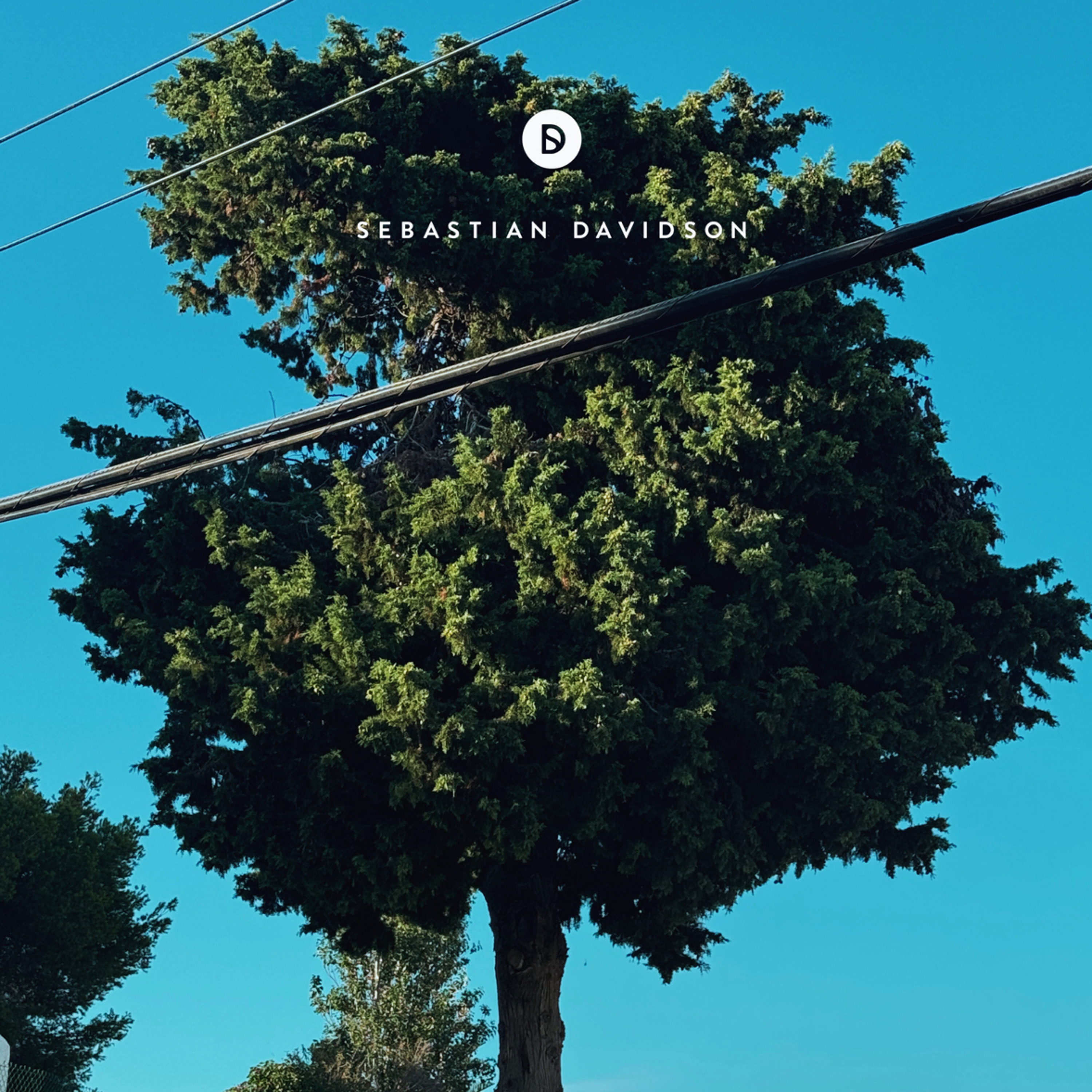 Voyage of Discovery by Sebastian Davidson