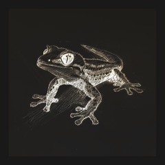 PREMIERE - Leo af Ekenstam - Gecko