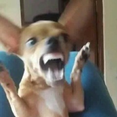 AGACHAMENTO X VEM COM BUNDÃO - MC RAFA 22 MC THEUZYN [DJ PEDRO BEAT]