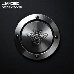 L.Sanchez - Funky Groove (Original Mix)