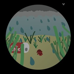 Rainy day in the anthil