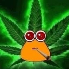 Aloha :3