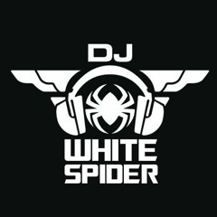 Mini Mix 2021 - Dj White Spider