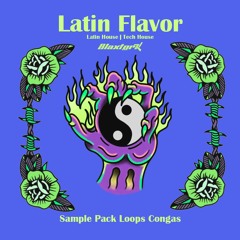 Sample Pack Latin Flavor Loop Congas  | 500 MB | Tech House, House, House, Afro House