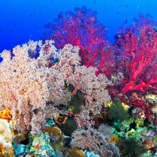 An)P.D.F.↑ダウンロード↑An)[PDF] romantic background music DOWNLOAD