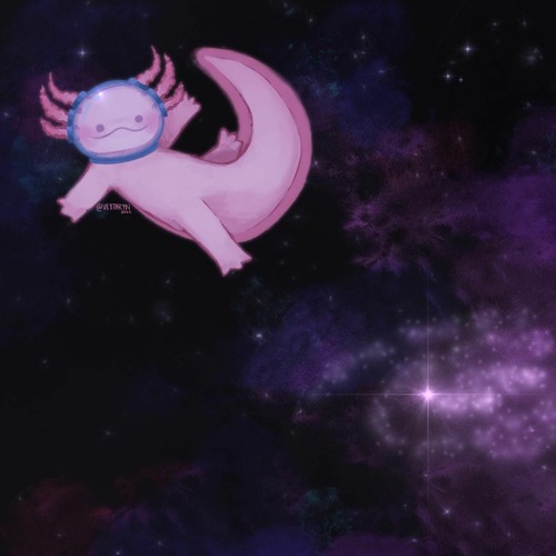 Stargazing