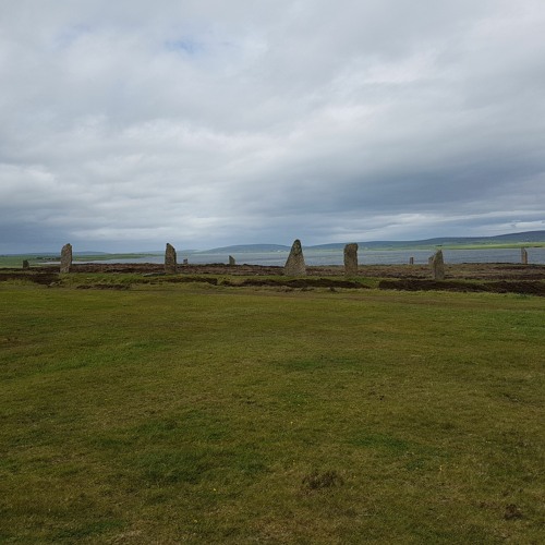 Strange  creatures in an ancient meadow
