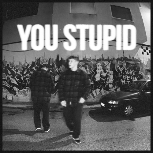 You Stupid
