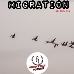 Perfect Talk Podcast Episode 162: Migration