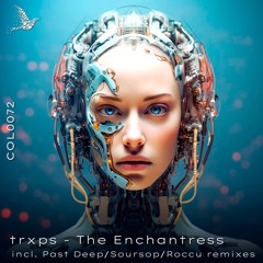 trxps - The Enchantress (Soursop Remix) [COLORICA]