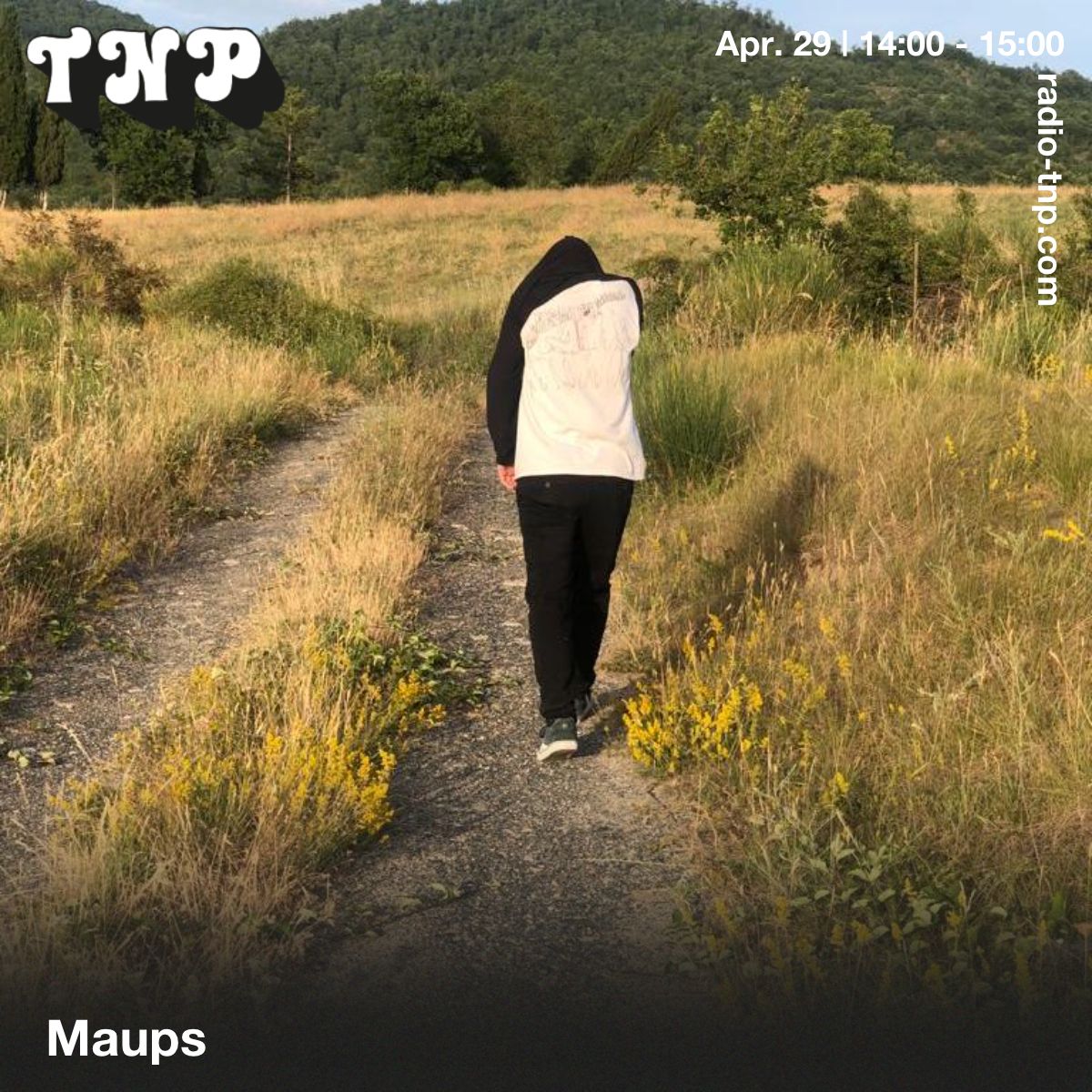 Maups