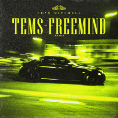 Tems Free Mind - Sean Mitchell Remix (UKSG)