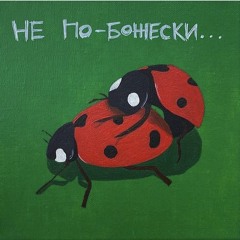 Coccinellidae