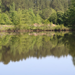 2026-01-13:  Intentional Practice (Reviere)