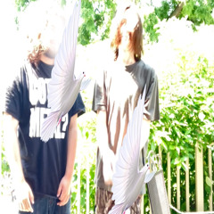 TWOBIRDS* W/ AVIORTS @NVRWILL @VYDOLVVS